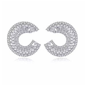 Swarovski Crystals The Qadash Curve Earrings